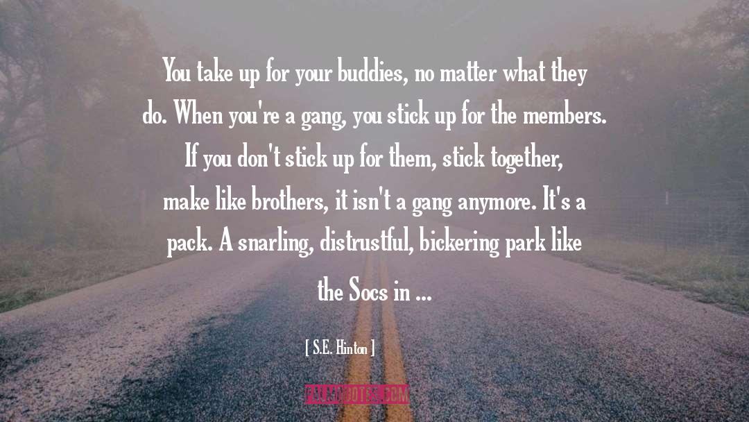Bickering quotes by S.E. Hinton