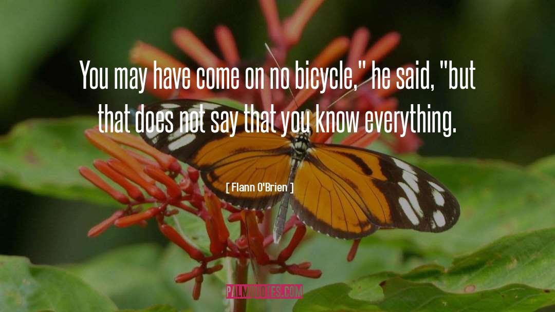 Bicycle quotes by Flann O'Brien