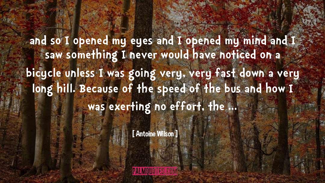 Bicycle quotes by Antoine Wilson