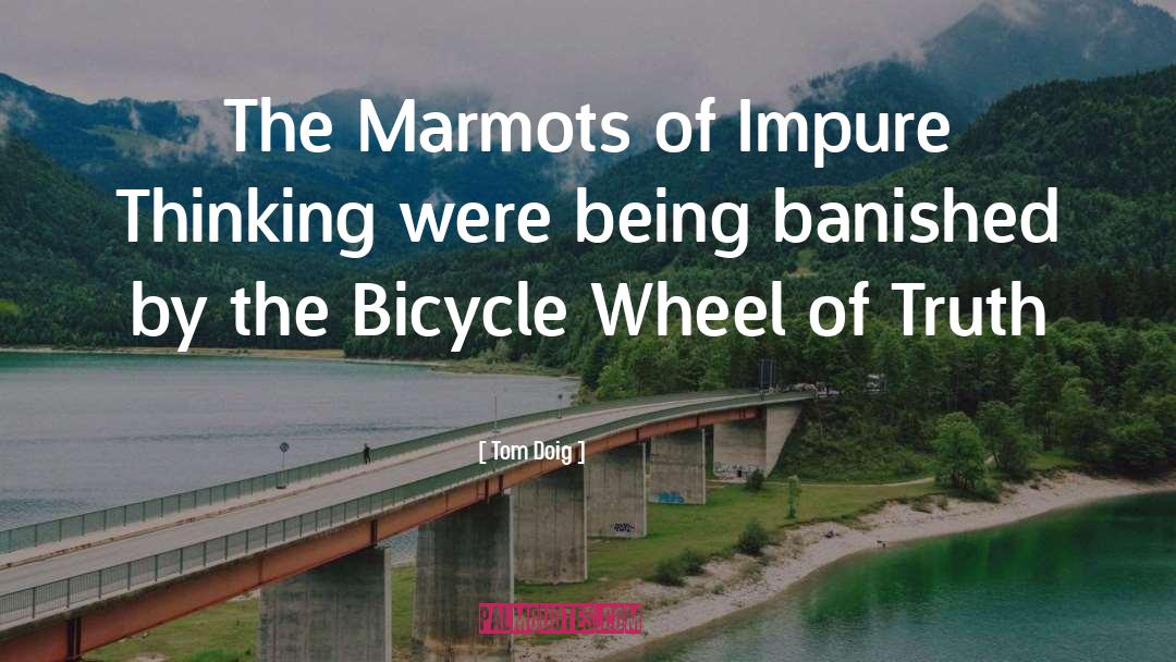 Bicycle quotes by Tom Doig