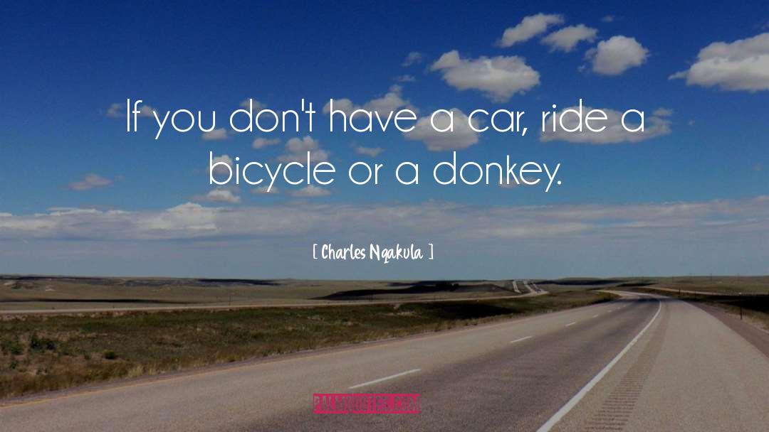 Bicycle Touring quotes by Charles Nqakula