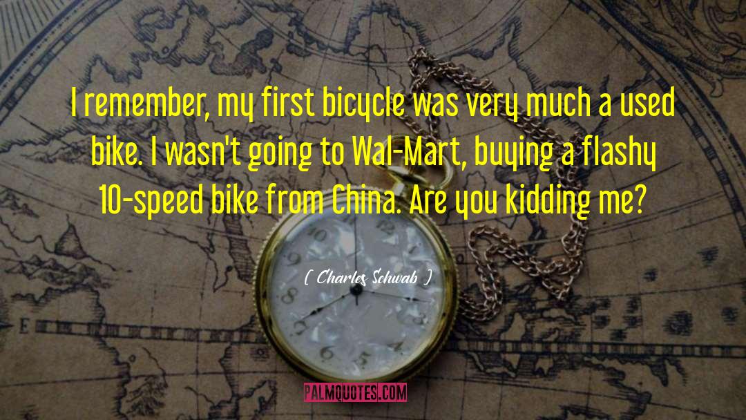 Bicycle Touring quotes by Charles Schwab