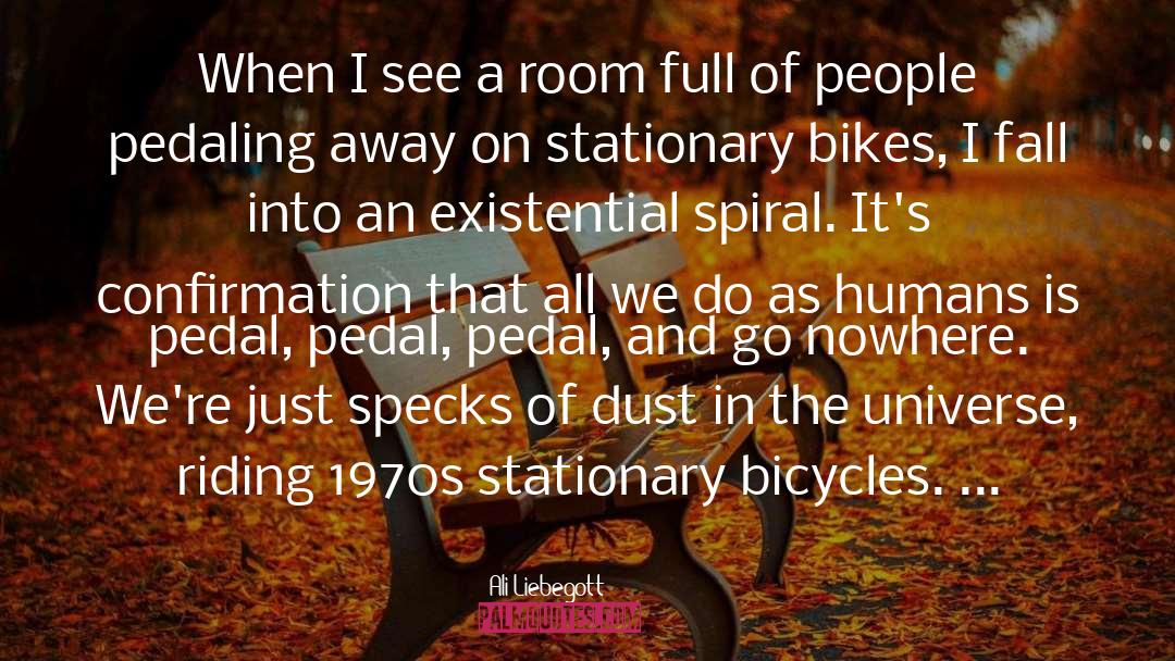Bicycles quotes by Ali Liebegott