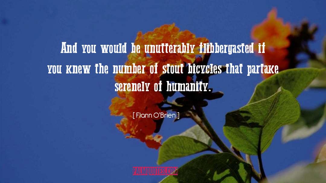 Bicycles quotes by Flann O'Brien