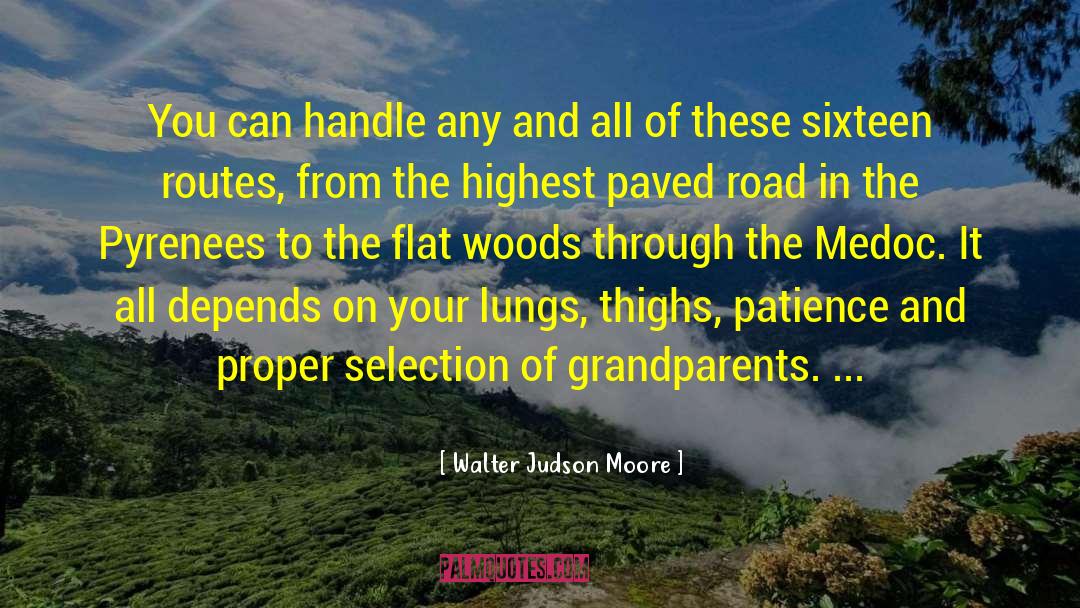 Bicycling quotes by Walter Judson Moore
