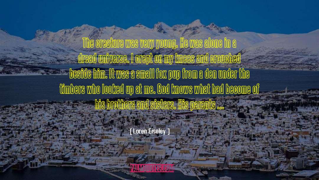 Biesanz Bay quotes by Loren Eiseley