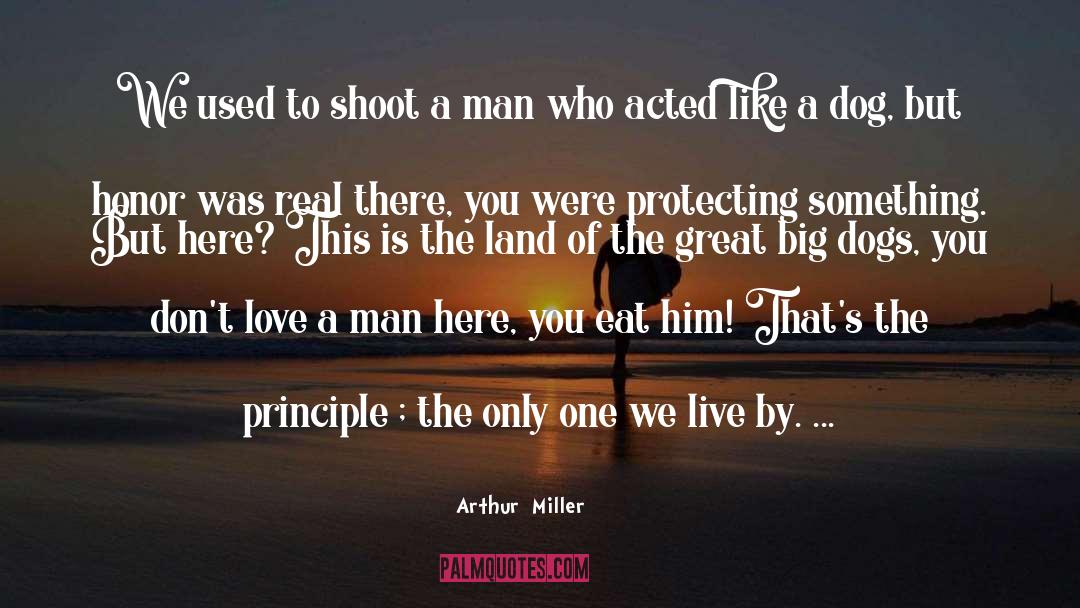 Big Al quotes by Arthur  Miller