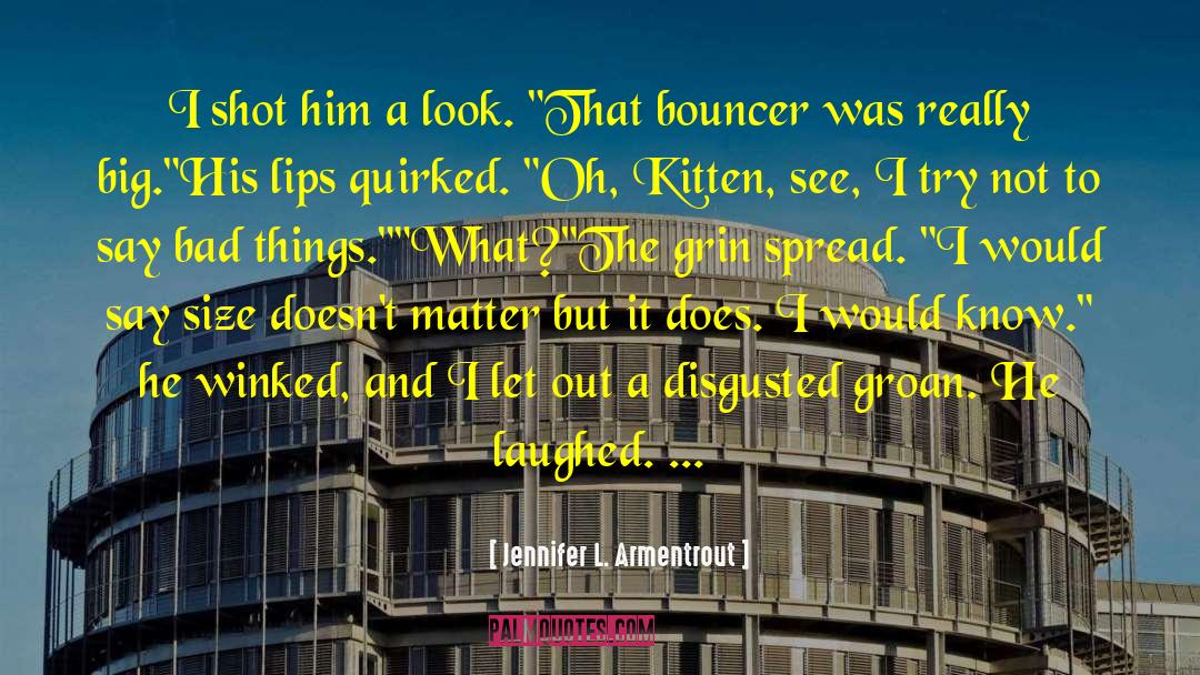 Big Bad Sis quotes by Jennifer L. Armentrout