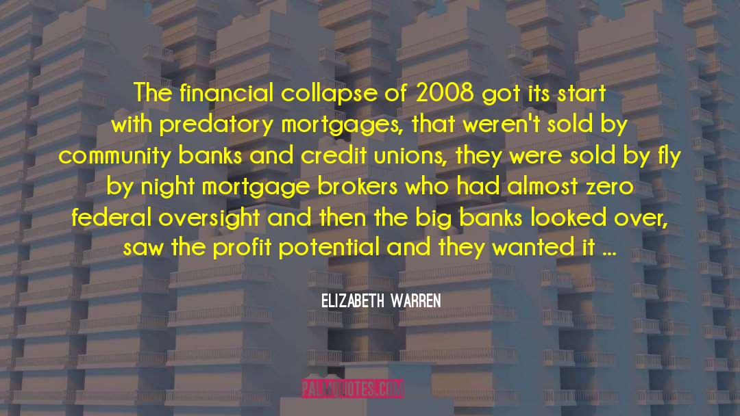 Big Banks quotes by Elizabeth Warren