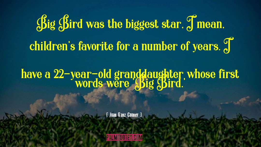 Big Bird quotes by Joan Ganz Cooney