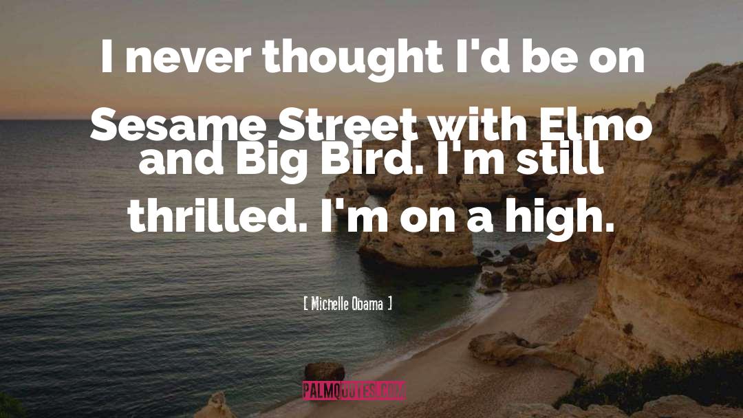 Big Bird quotes by Michelle Obama