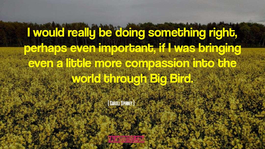 Big Bird quotes by Caroll Spinney