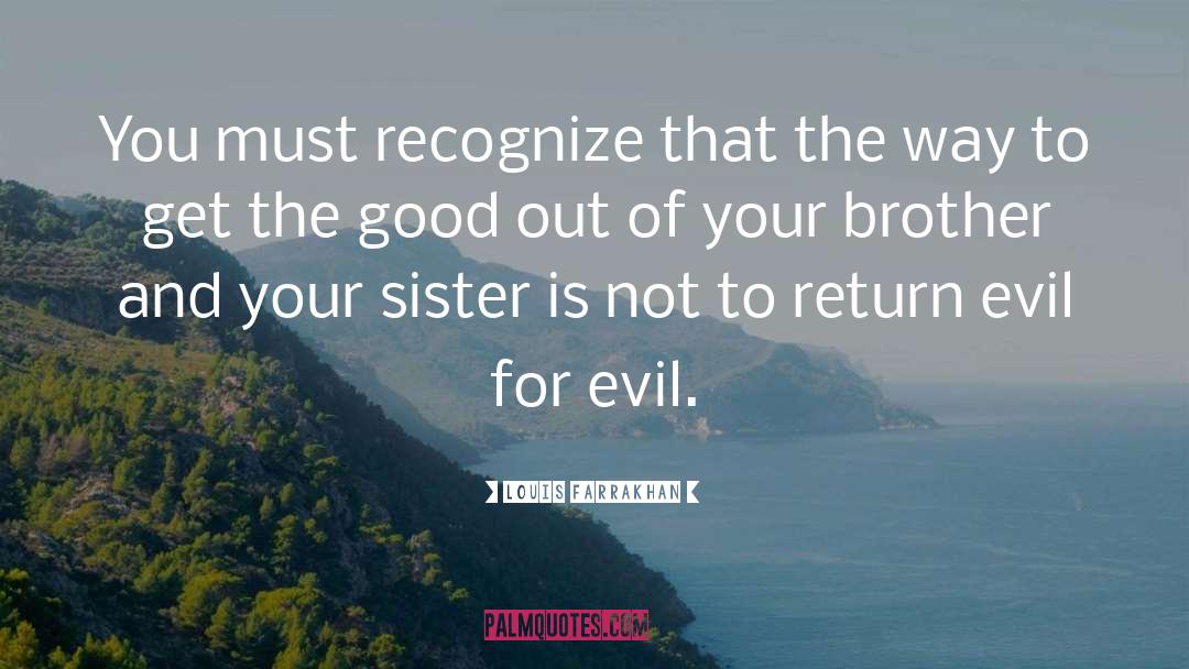 Big Brother And Little Sister Bond quotes by Louis Farrakhan
