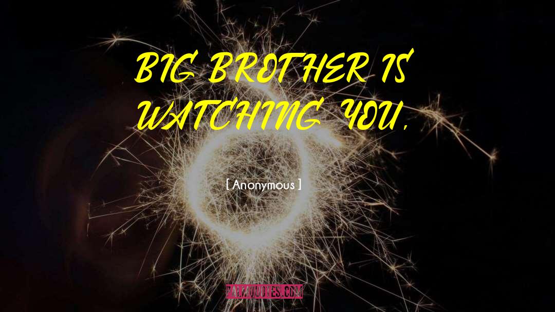 Big Brother Is Watching quotes by Anonymous
