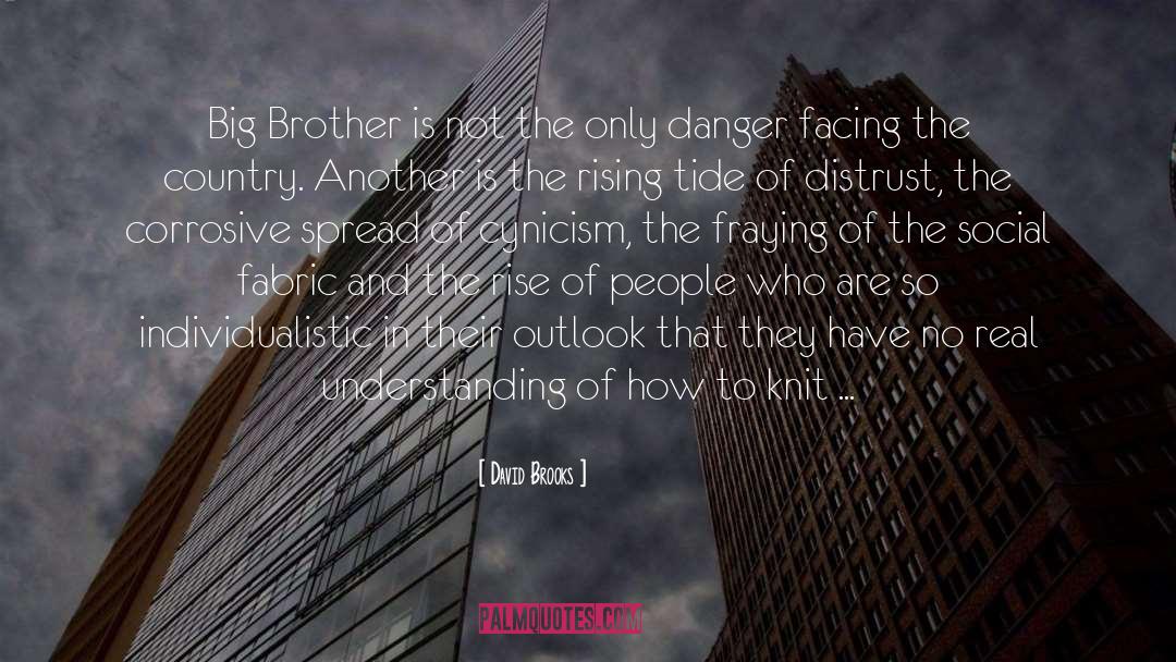 Big Brother quotes by David Brooks