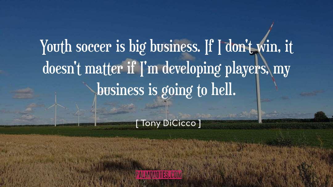 Big Business quotes by Tony DiCicco