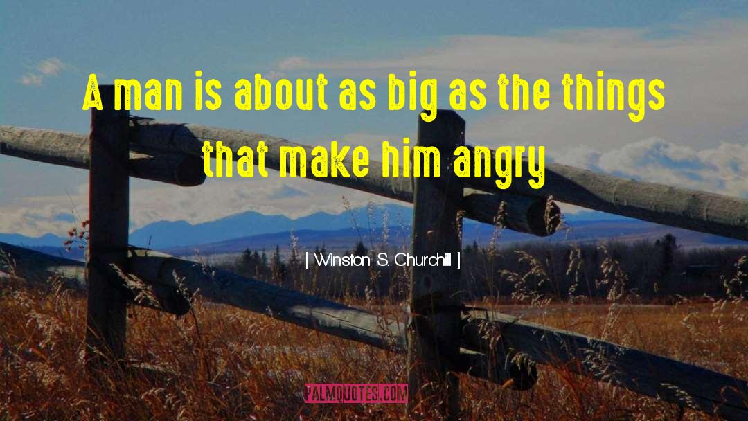 Big Cars quotes by Winston S. Churchill