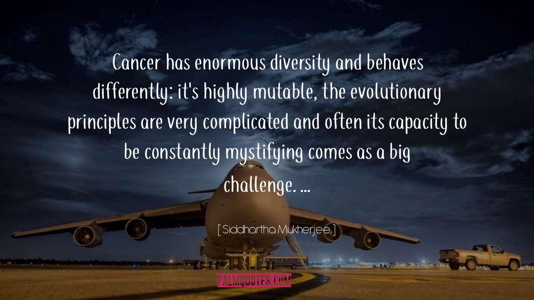 Big Challenges quotes by Siddhartha Mukherjee