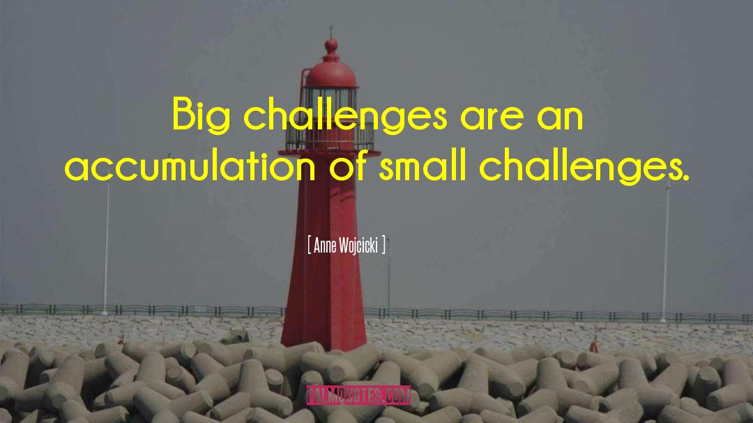 Big Challenges quotes by Anne Wojcicki