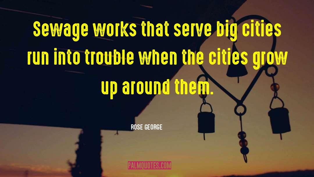 Big Cities quotes by Rose George