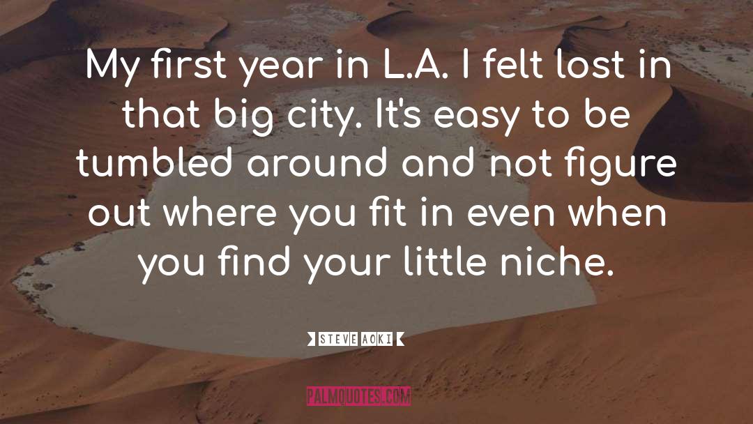 Big City quotes by Steve Aoki