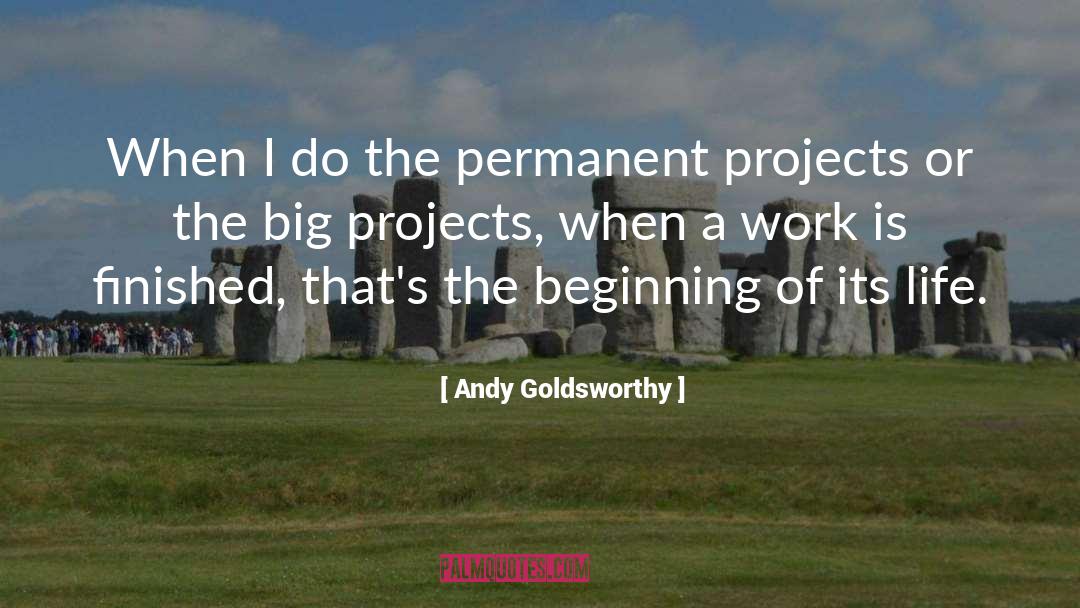 Big Companies quotes by Andy Goldsworthy