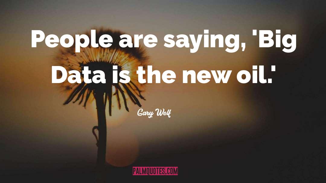 Big Data quotes by Gary Wolf