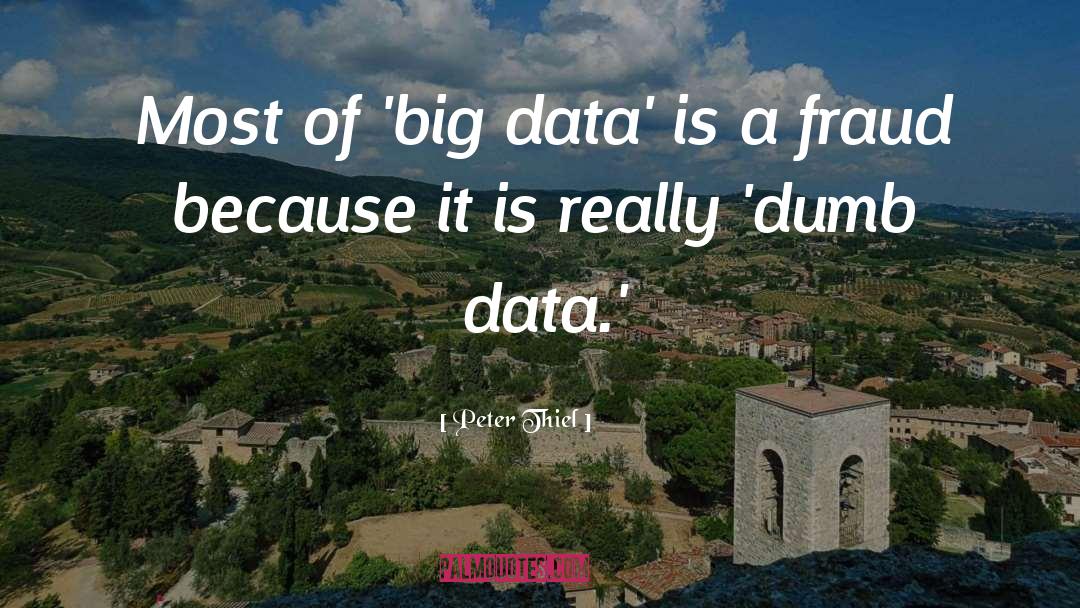 Big Data quotes by Peter Thiel
