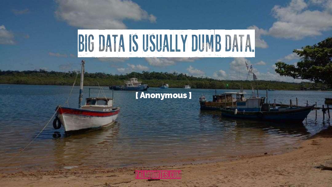 Big Data quotes by Anonymous