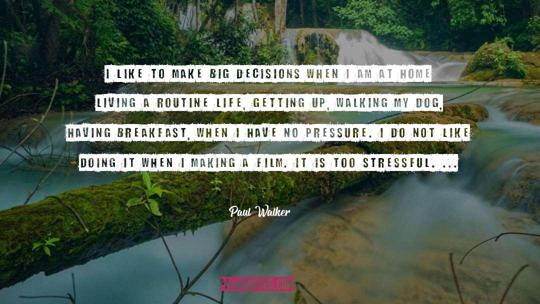 Big Decisions quotes by Paul Walker