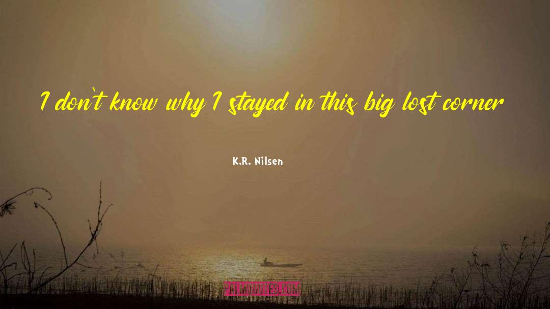 Big Decisions quotes by K.R. Nilsen