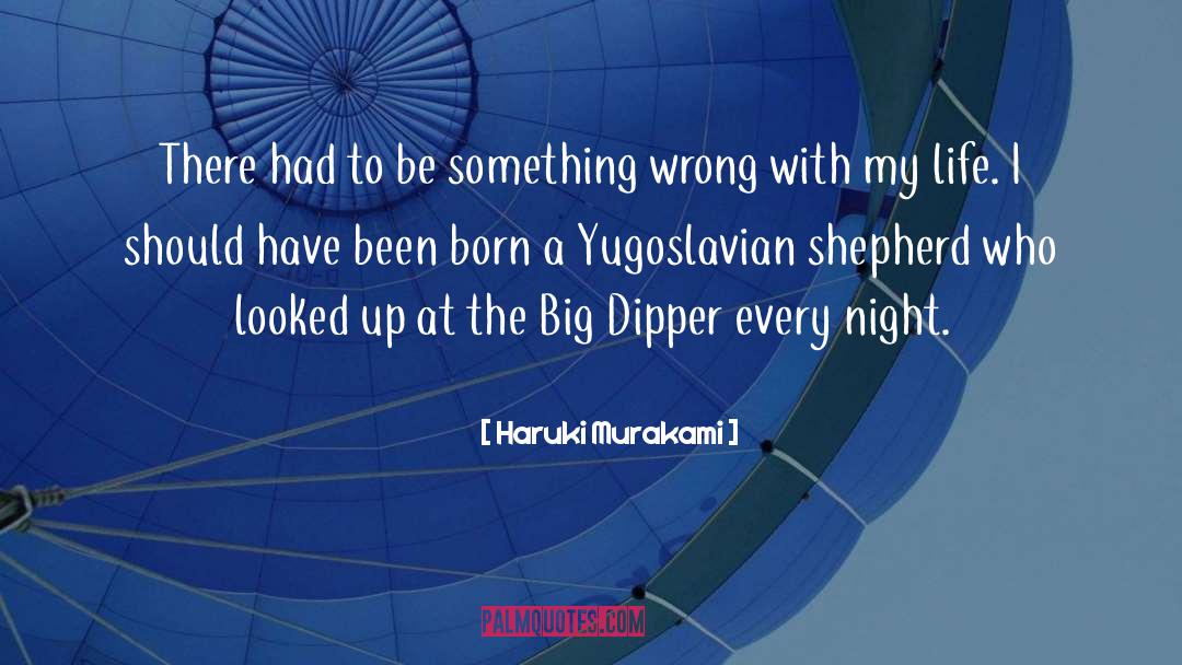 Big Dipper quotes by Haruki Murakami