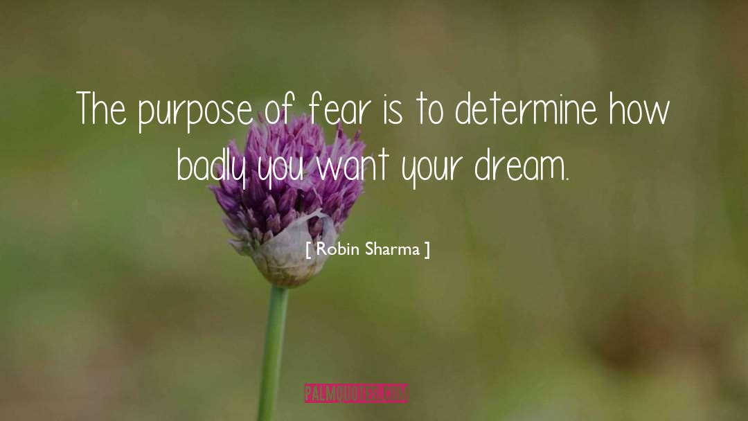 Big Dream quotes by Robin Sharma