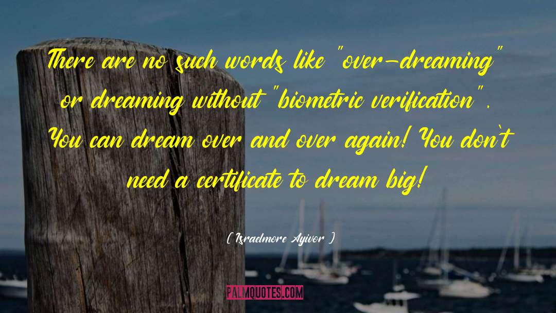 Big Dream quotes by Israelmore Ayivor