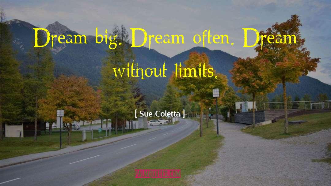 Big Dream quotes by Sue Coletta