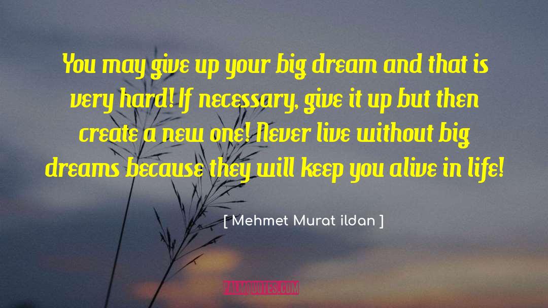 Big Dream quotes by Mehmet Murat Ildan