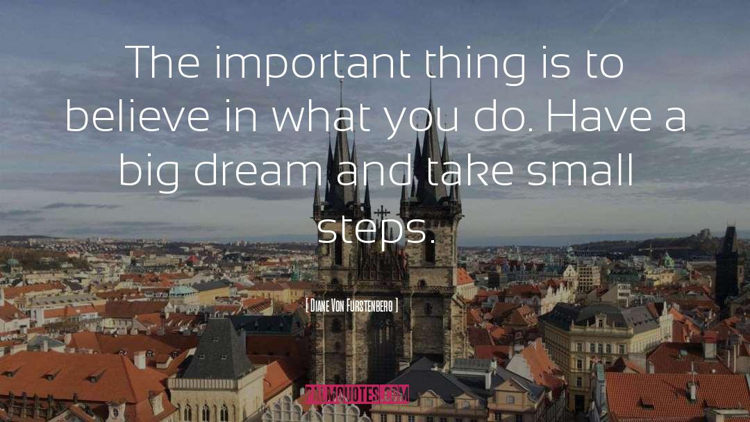 Big Dream quotes by Diane Von Furstenberg