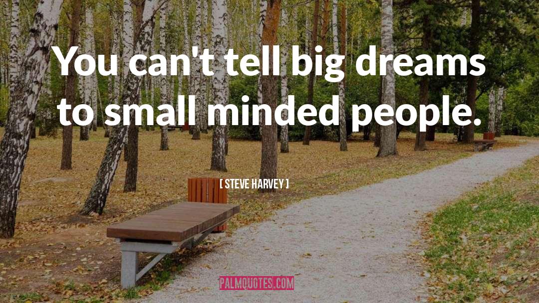 Big Dreams quotes by Steve Harvey