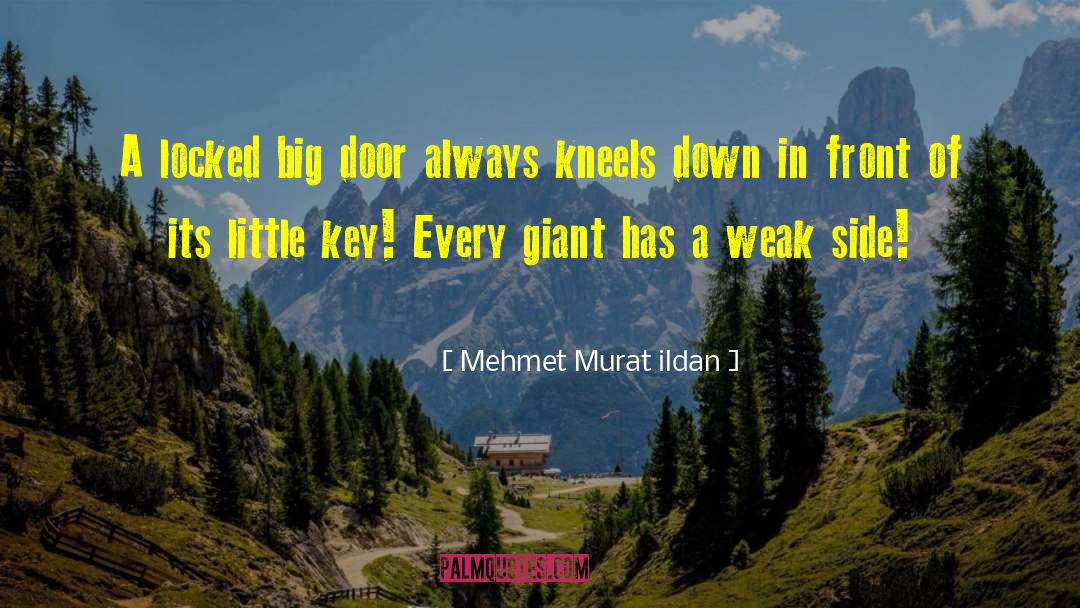 Big Driver quotes by Mehmet Murat Ildan