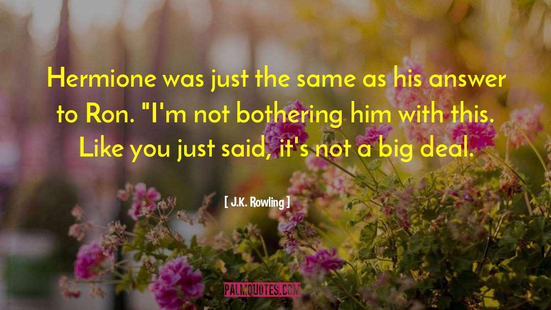 Big Families quotes by J.K. Rowling