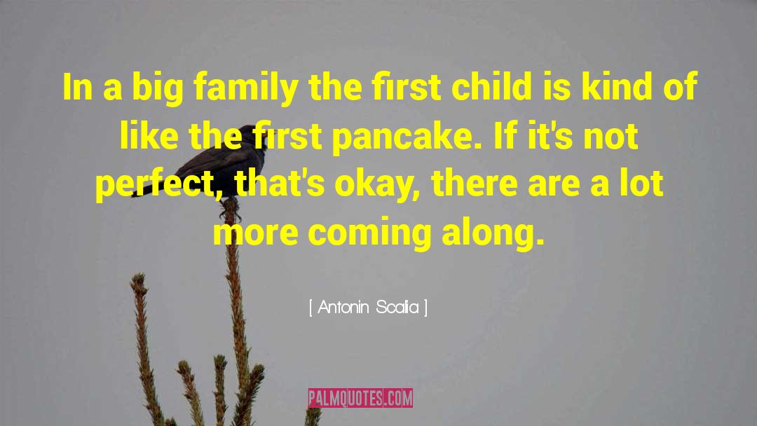 Big Families quotes by Antonin Scalia