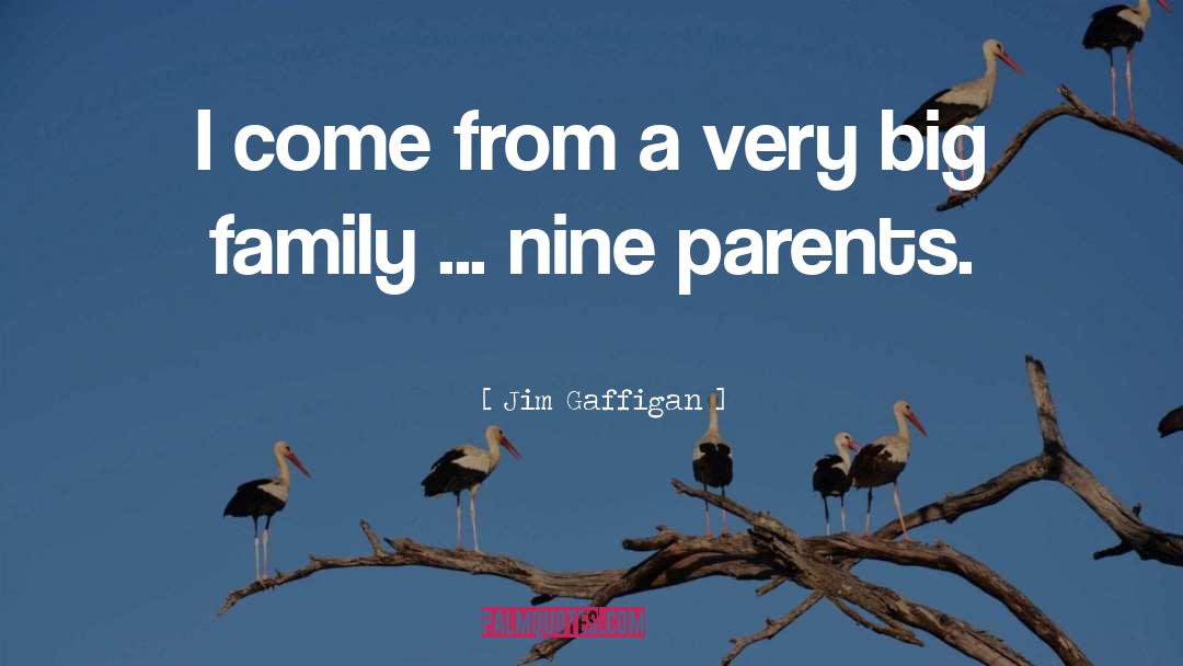 Big Families quotes by Jim Gaffigan