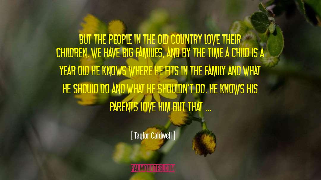 Big Families quotes by Taylor Caldwell