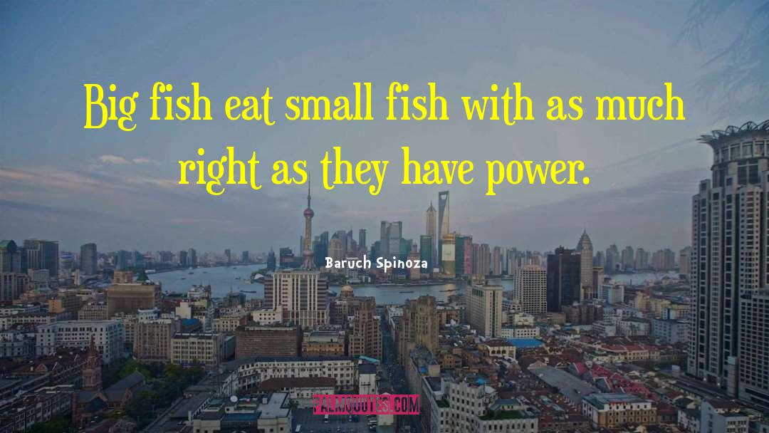 Big Fish quotes by Baruch Spinoza
