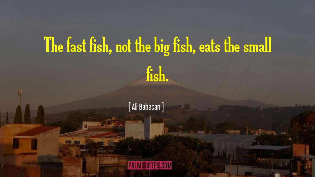 Big Fish quotes by Ali Babacan