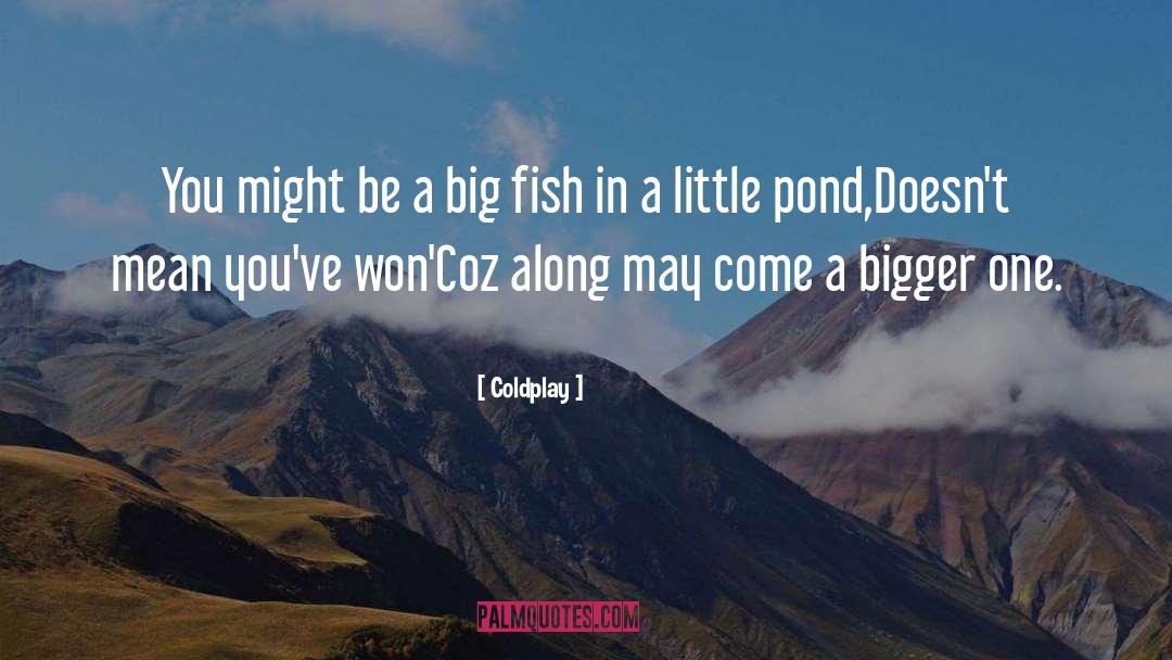Big Fish quotes by Coldplay