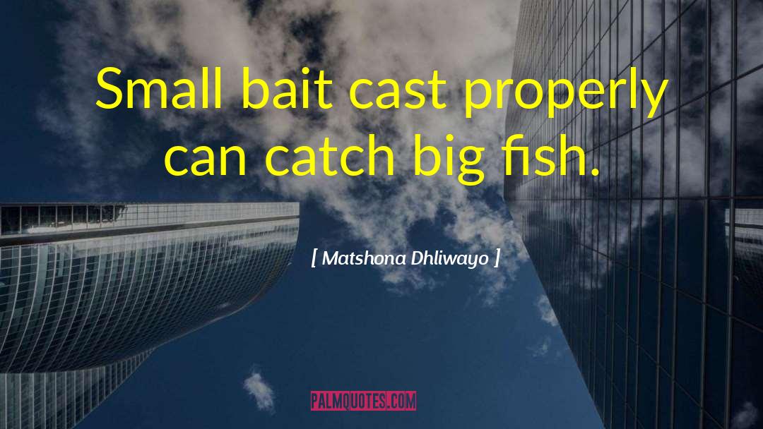 Big Fish quotes by Matshona Dhliwayo