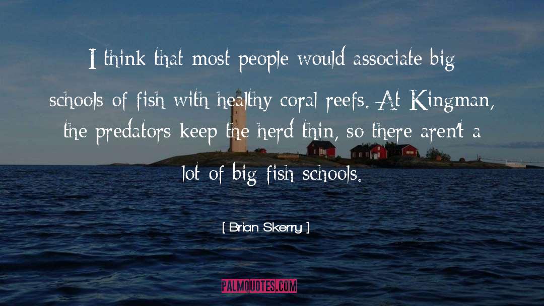 Big Fish quotes by Brian Skerry