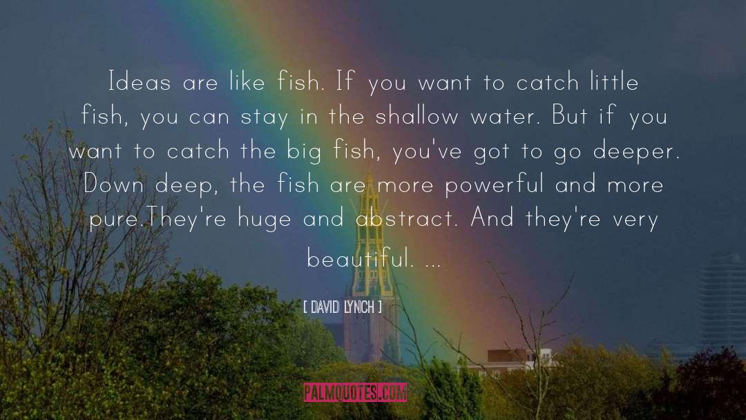 Big Fish quotes by David Lynch