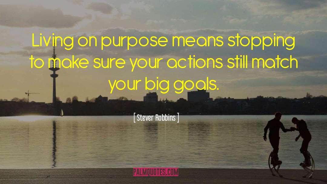 Big Goals quotes by Stever Robbins